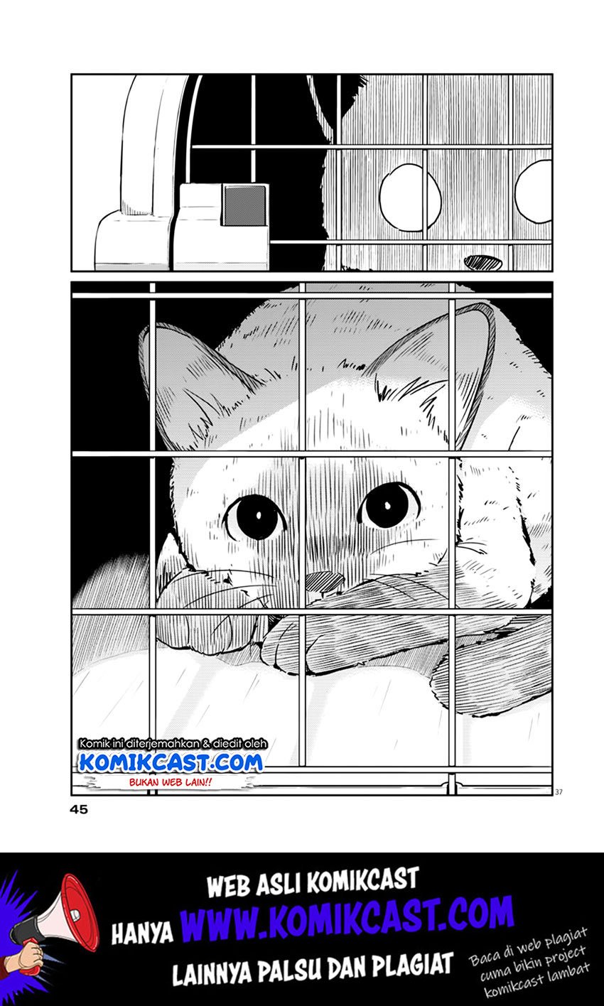 Kekkon Surutte, Hontou Desu ka? Chapter 01 Gambar 37